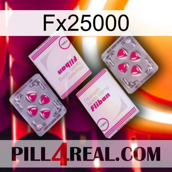 Fx25000 33.jpg